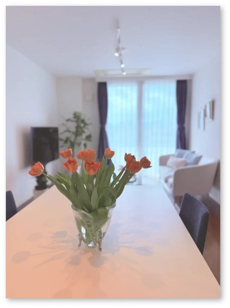 マンションのリビングダイニングのコーディネート